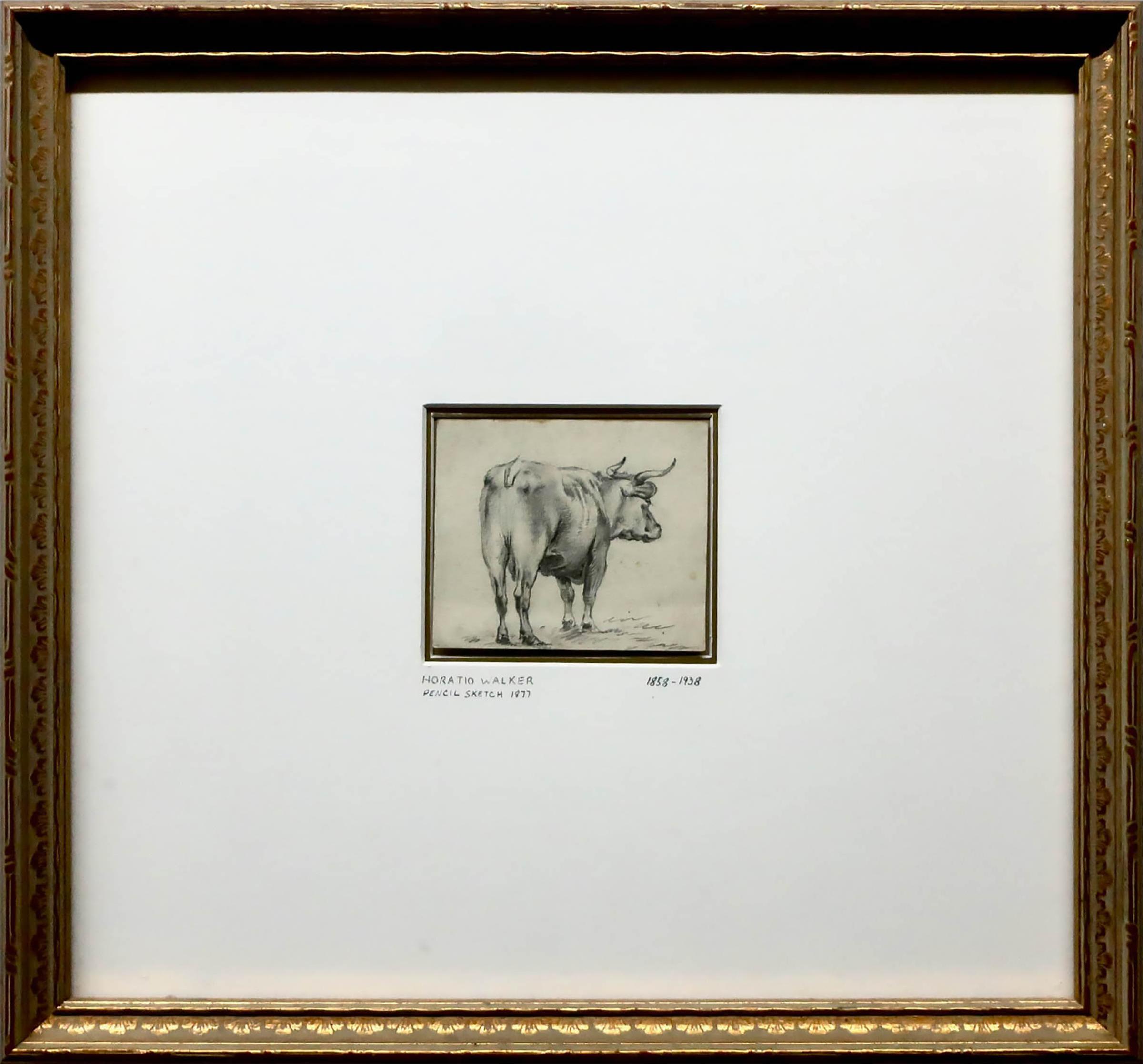Horatio Walker (1858-1938) - The Bull