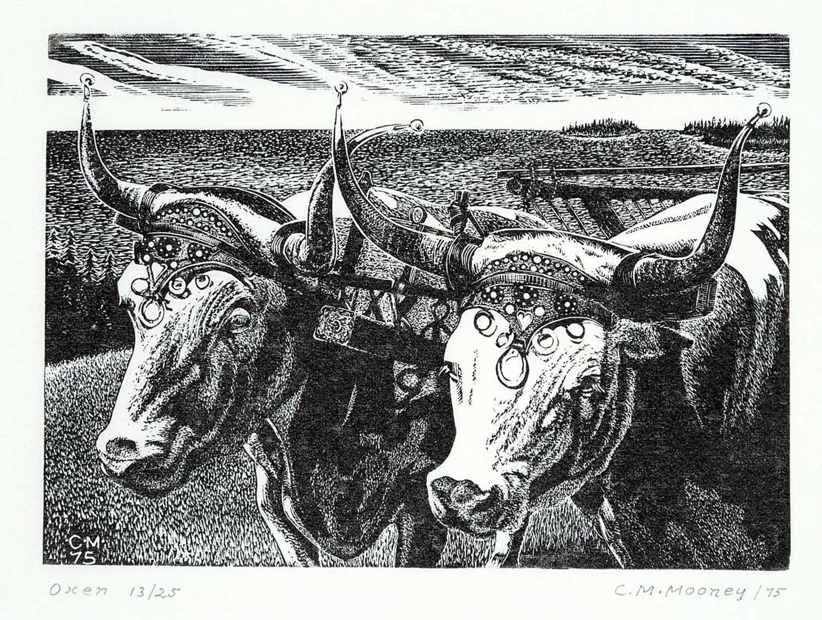 Craig McDonald Mooney - Oxen #13/25