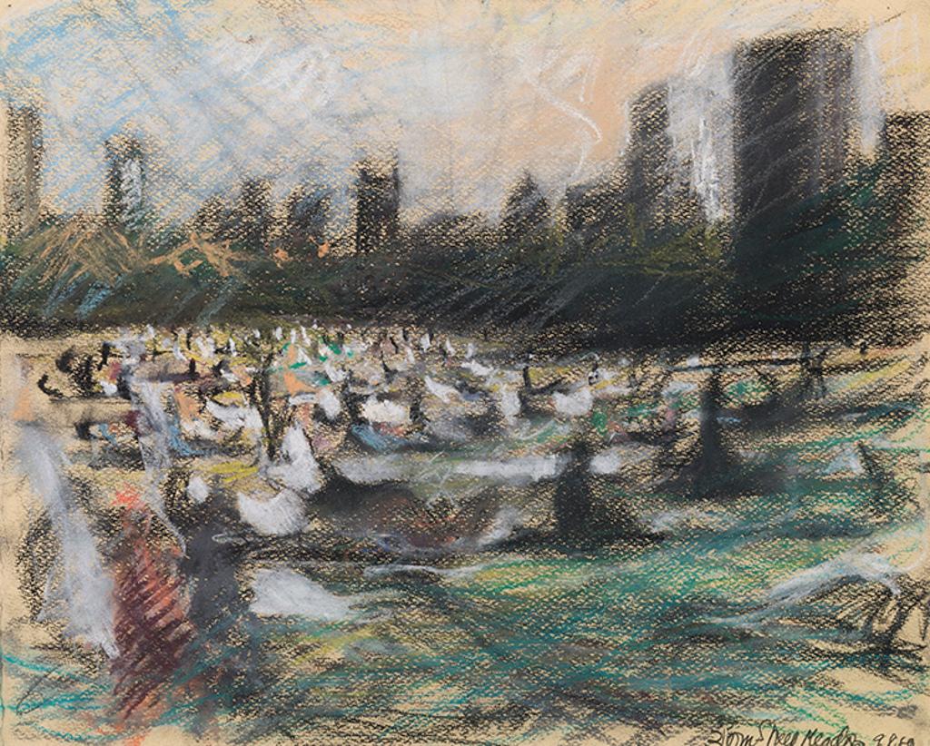 Bill Jacklin - 3pm, Sheep Meadow