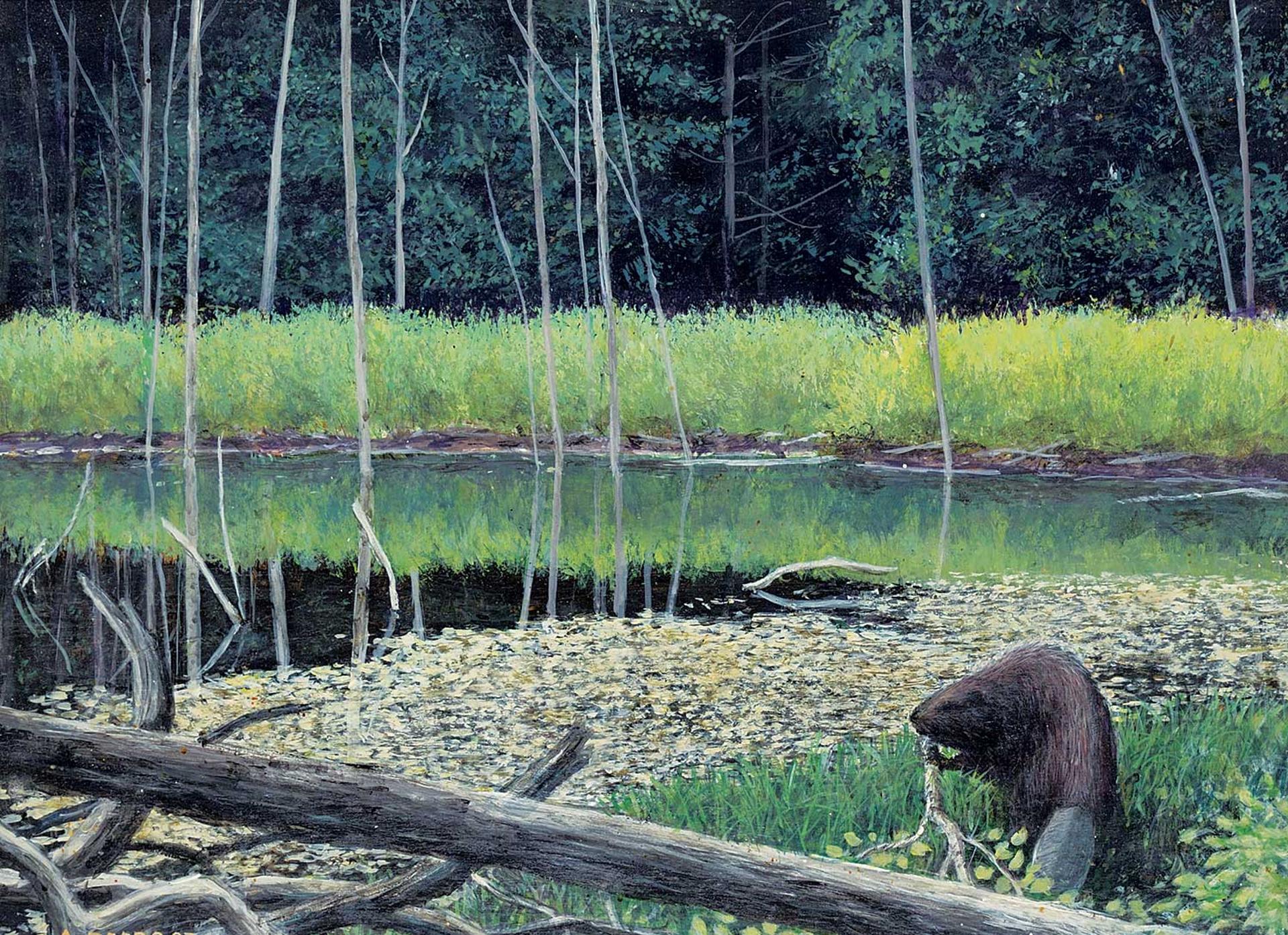 Andres Paabo - Beaver Dam