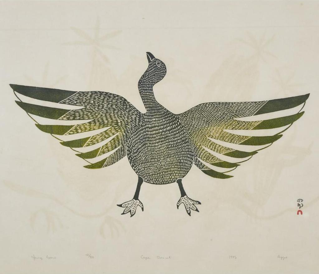 Aggeok Pitseolak (1906-1906) - Young Goose