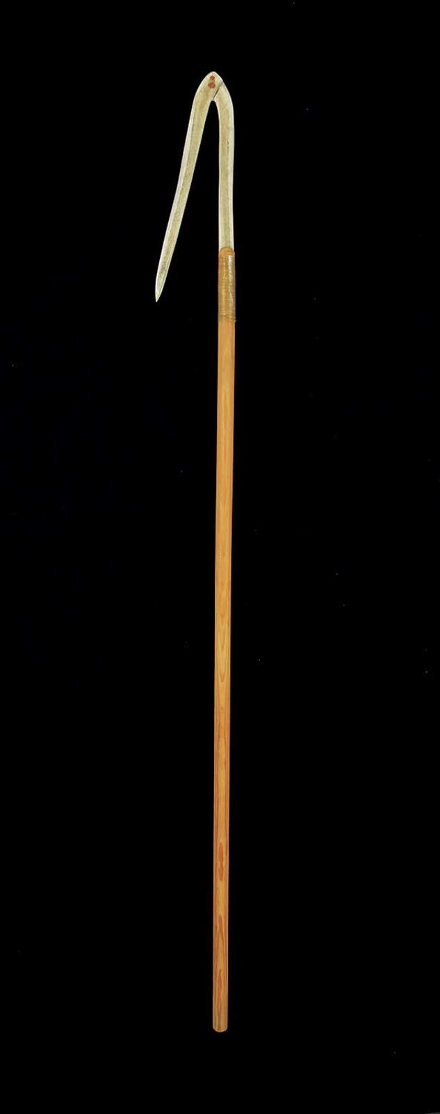 Ayioma - Long Gaff