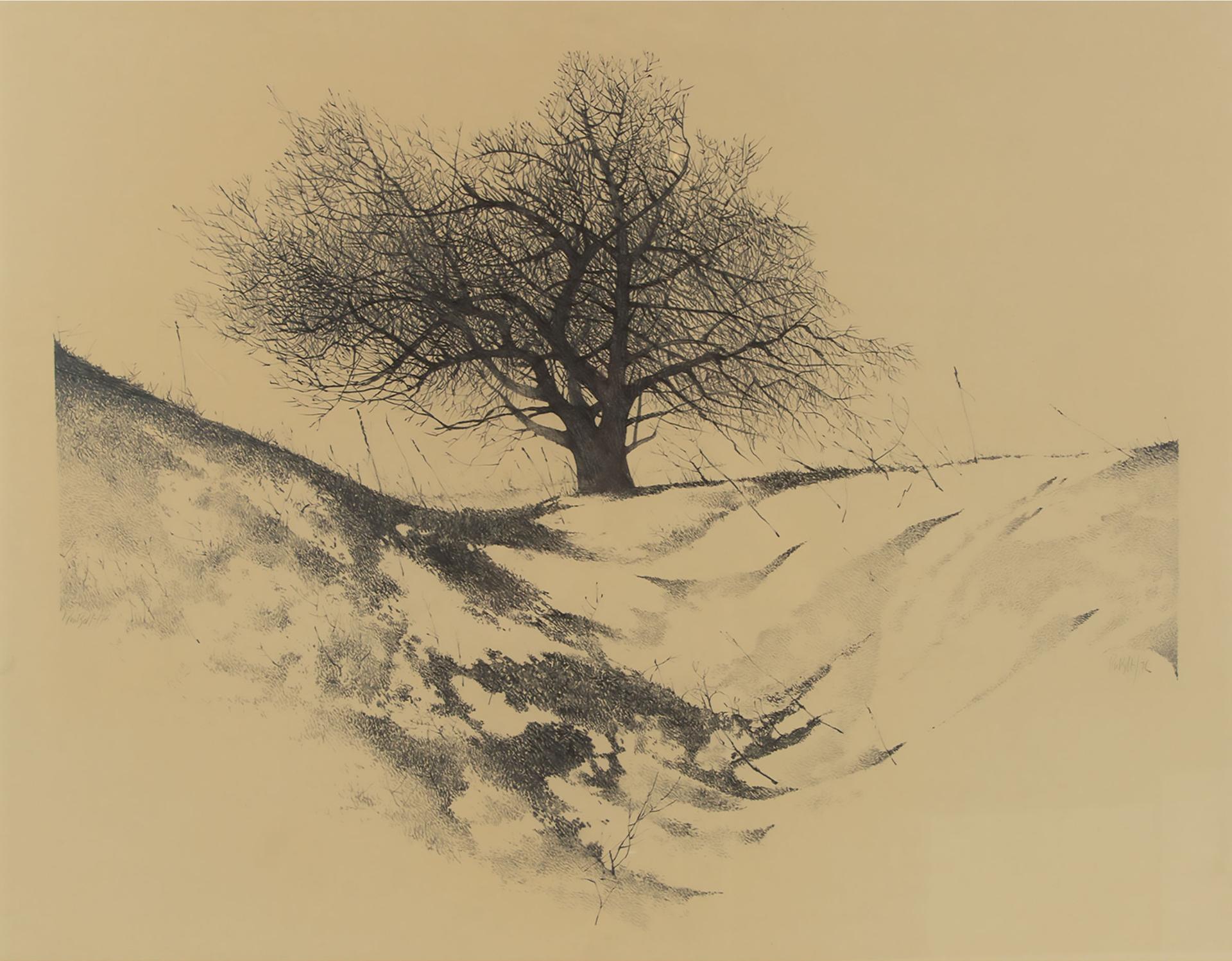 Ronald (Ron) William Bolt (1938-2019) - In The Bleak Mid-Winter