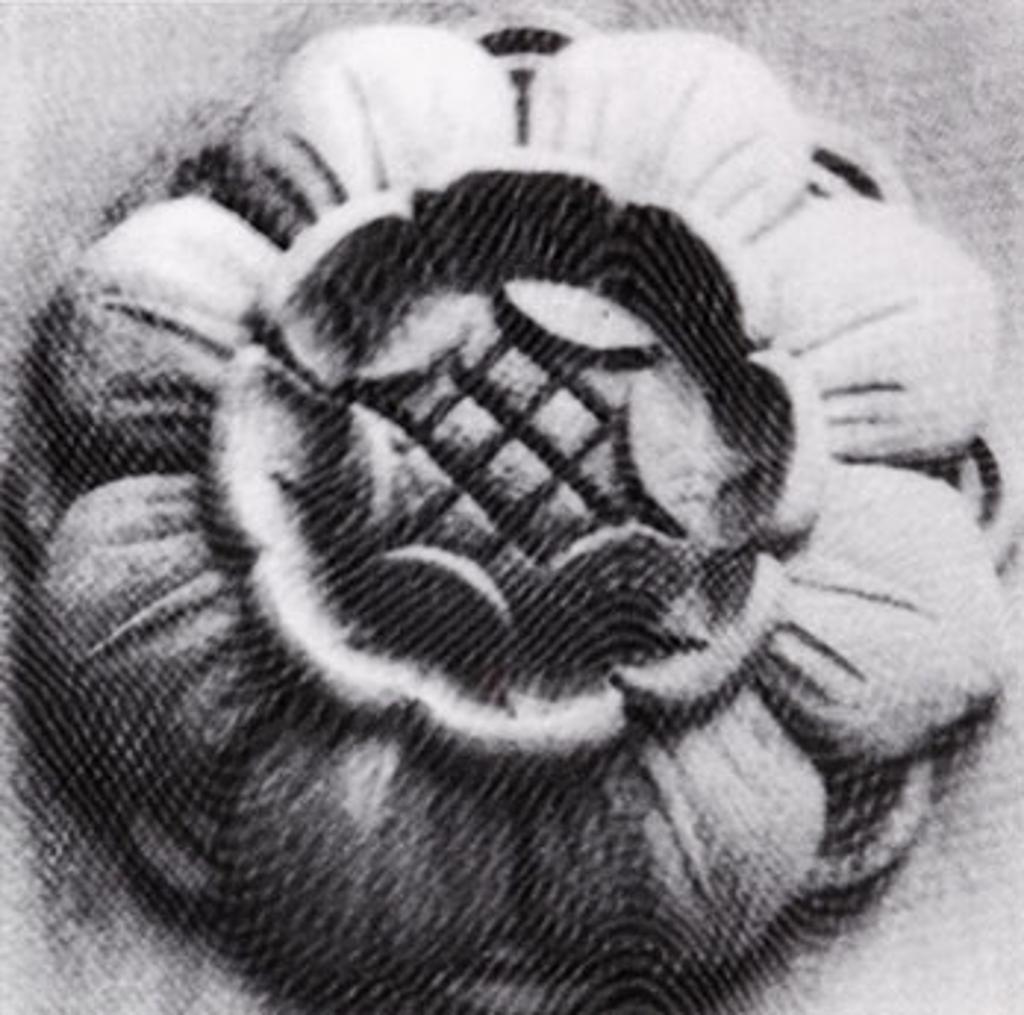 Penelope Stewart - Rosette & Coil Series #4 (03919)