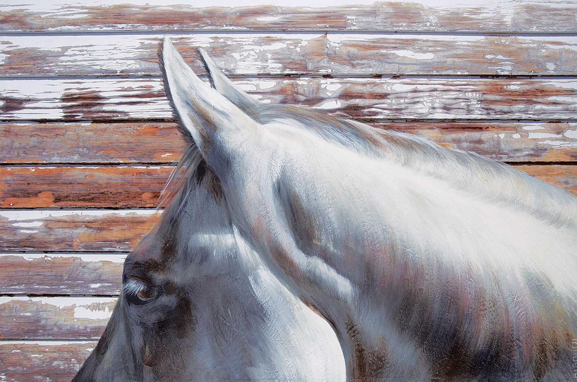 Pascale [Bigoudi] Ouellet - Wandering Around #1