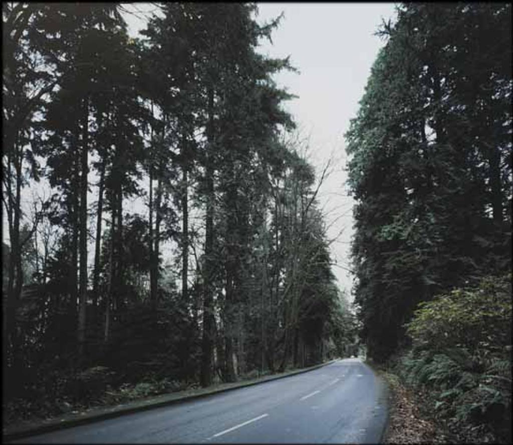 Jeff Wall (1946) - Park Drive