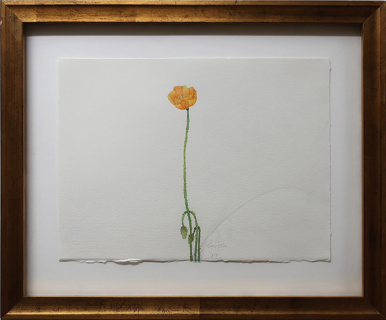 Robert William Sinclair (1939) - Untitled (Orange Flower)