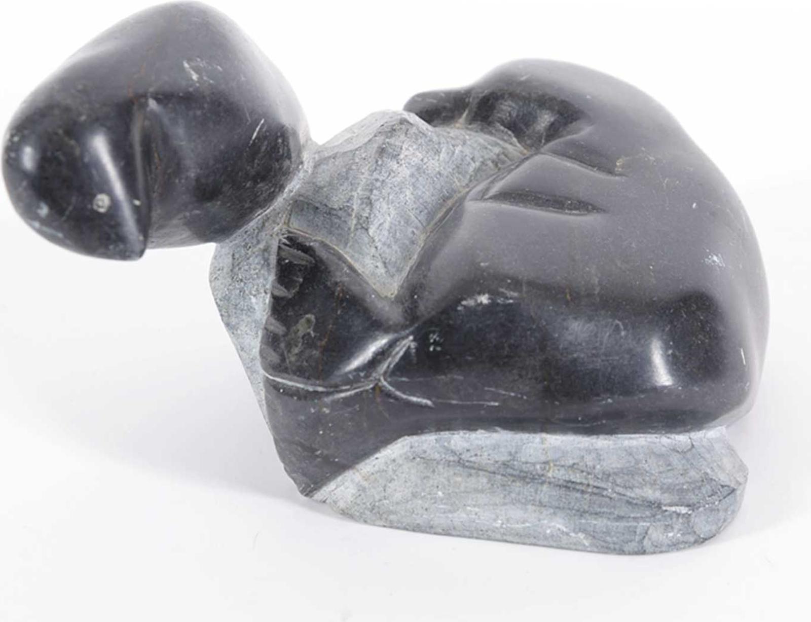 Kitisimik - Seal and Bird