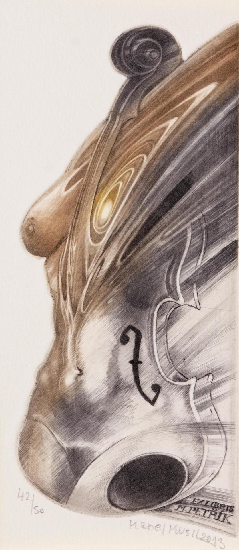 Karel Musil (1982) - Untitled - Violin Body