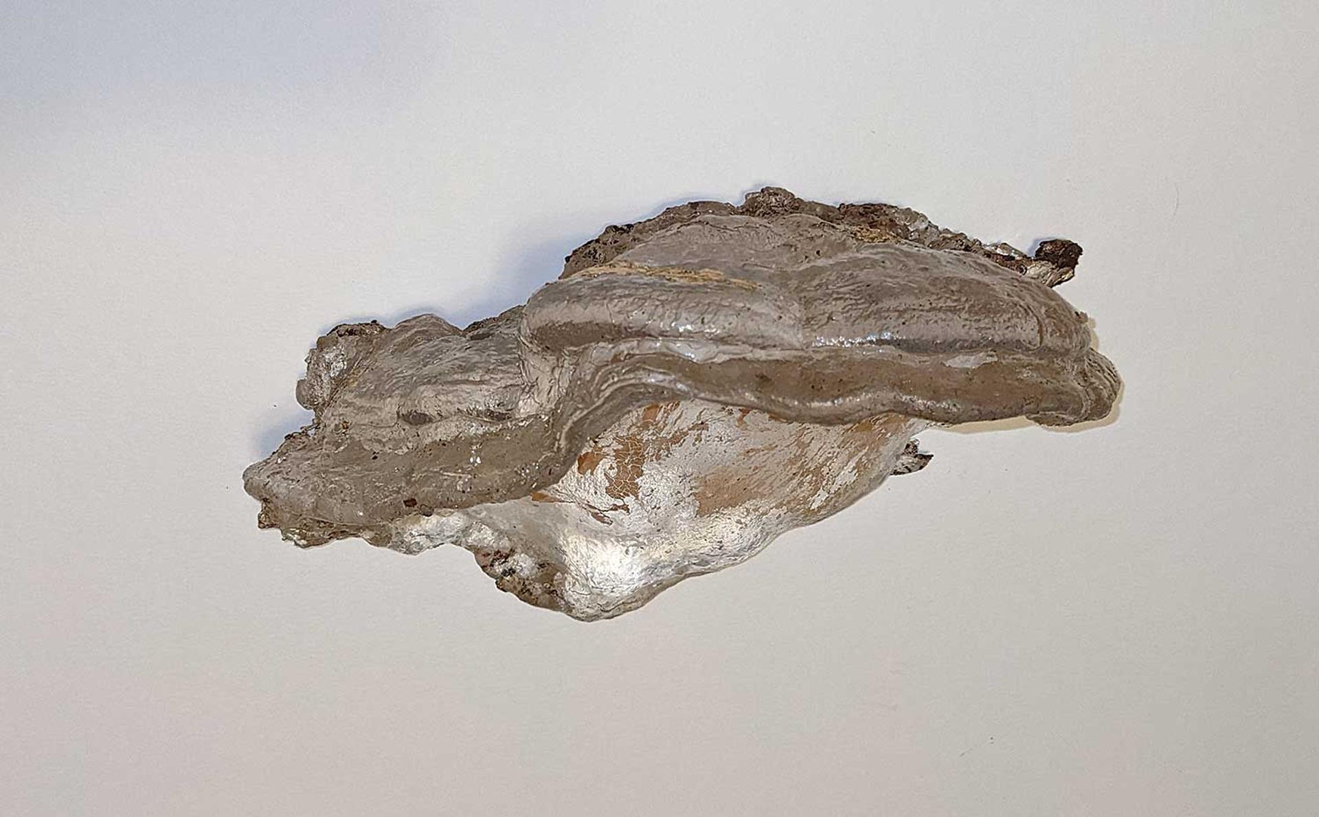 Emily Neufeld (1982) - Polypore with Gold