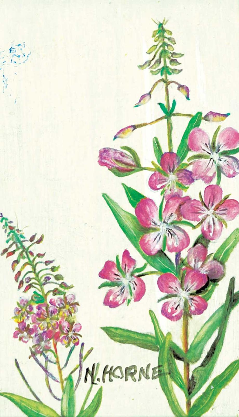 N. Horne - Fireweed