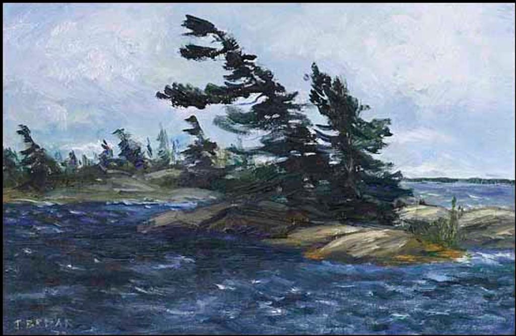 J. Broar - Windy Coast (00723/2013-613)