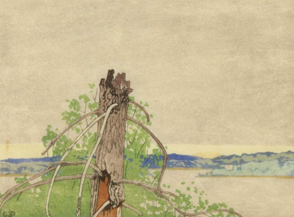Walter Joseph (W.J.) Phillips (1884-1963) - The Stump