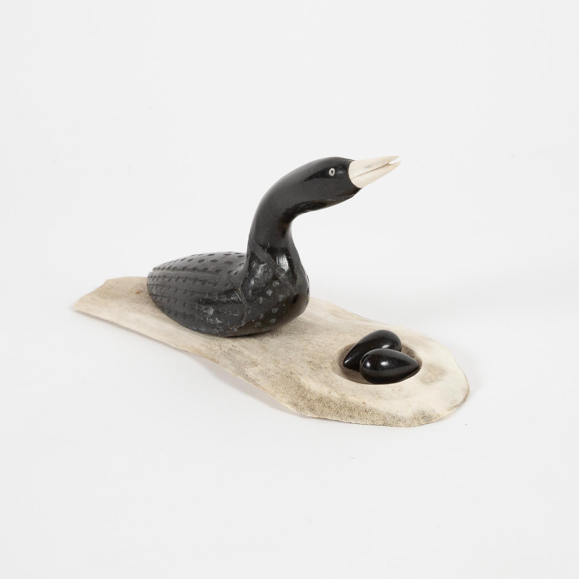Isaac Pangingayak - Loon On Nest