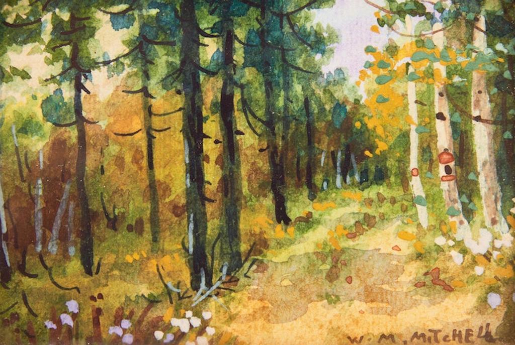 Willard Morse Mitchell (1879-1955) - In the Pine Trees Near the Seigniory Club