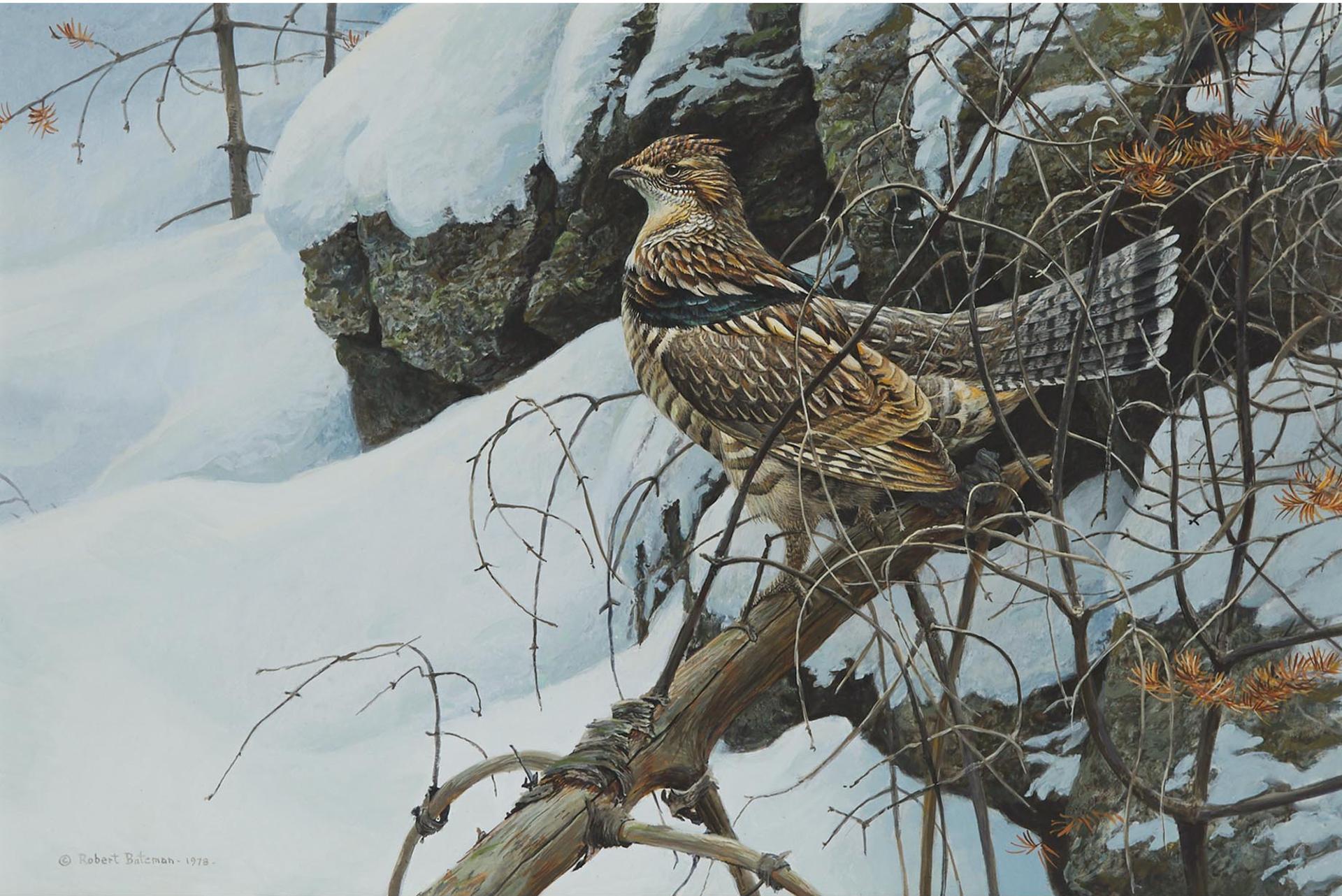 Robert Mclellan Bateman (1930-1922) - Ruffed Grouse, 1978