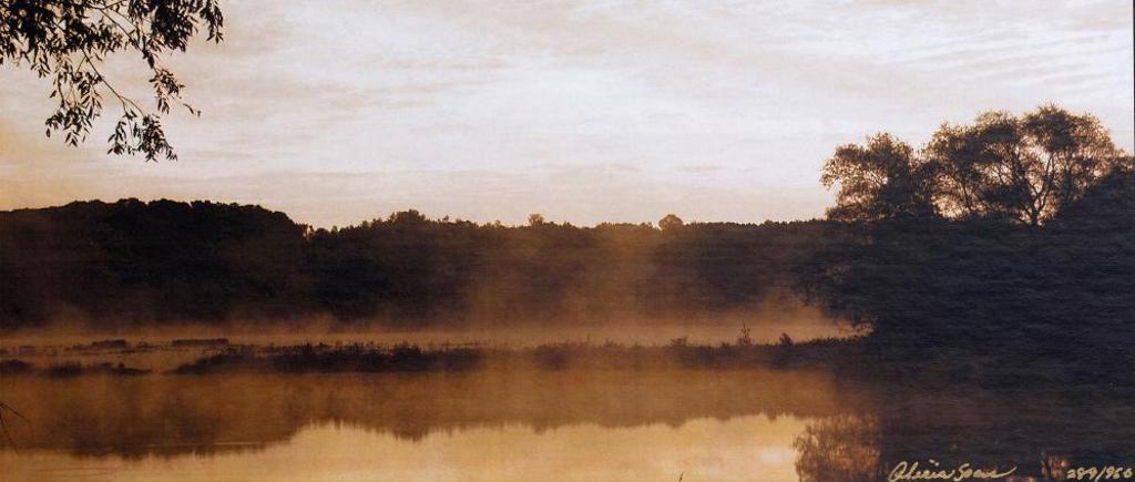 Alicia Soave - Early Morning Sunrise II