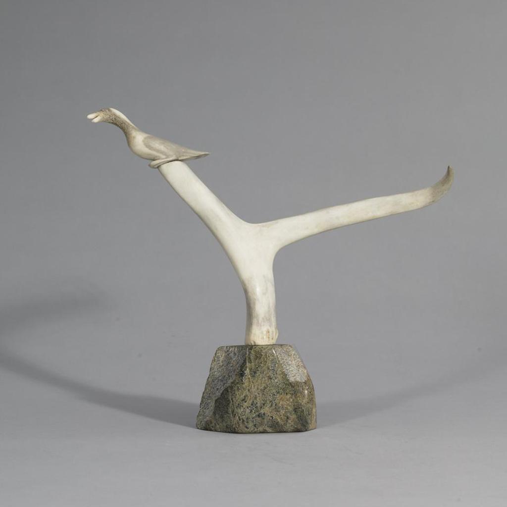 Kellypalik Qimirpik (1948-2017) - Bird Perched On A Branch
