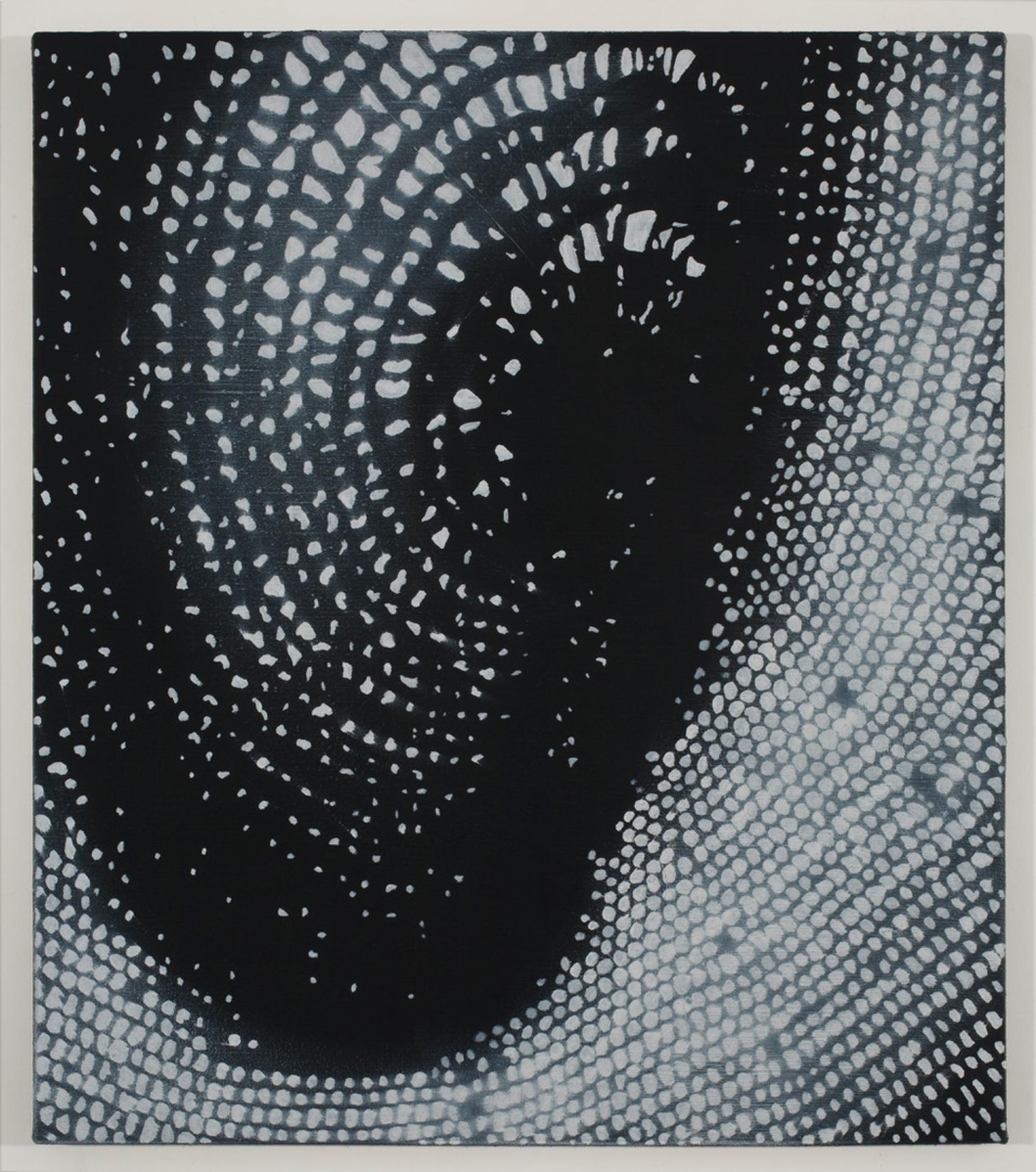 Richard-Max Tremblay - Le ciel à travers #3, 2010