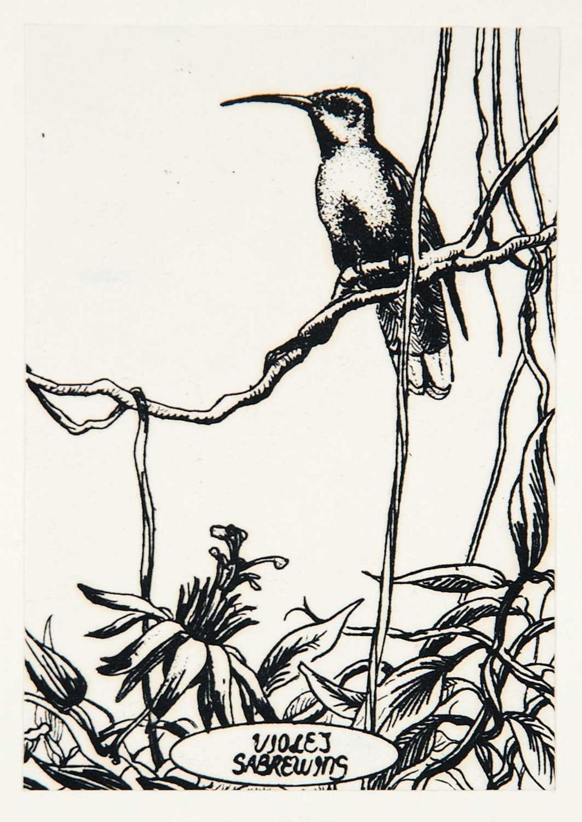 Garry Newton (1939-2008) - Violet Sabrewing