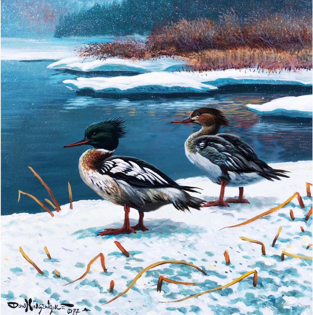 Don Ningewance (1948) - Mallards in Winter