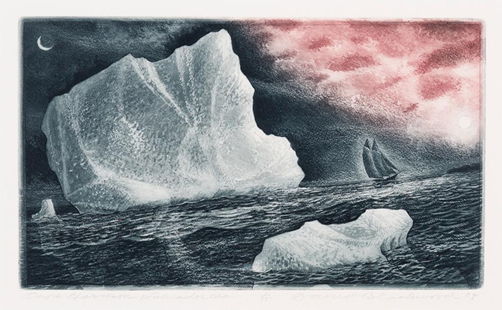 David Lloyd Blackwood (1941-2022) - Cape Harrison, Labrador Sea