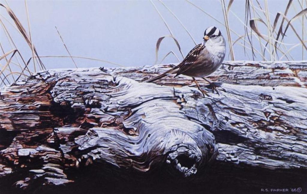 Ron S. Parker (1942) - limited edition print