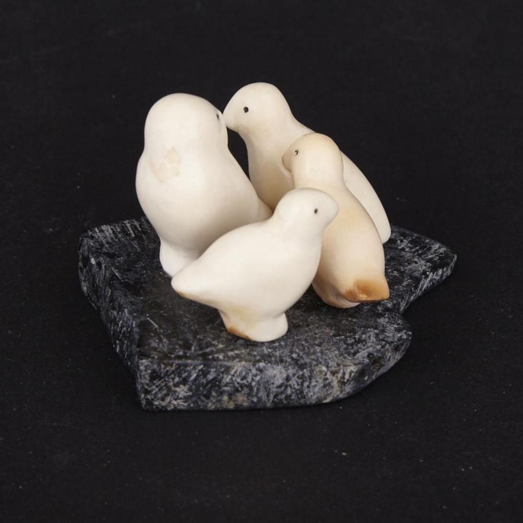Sabina Qunqnirq Anaittuq (1941-1997) - Family Of Snow Owls On Base