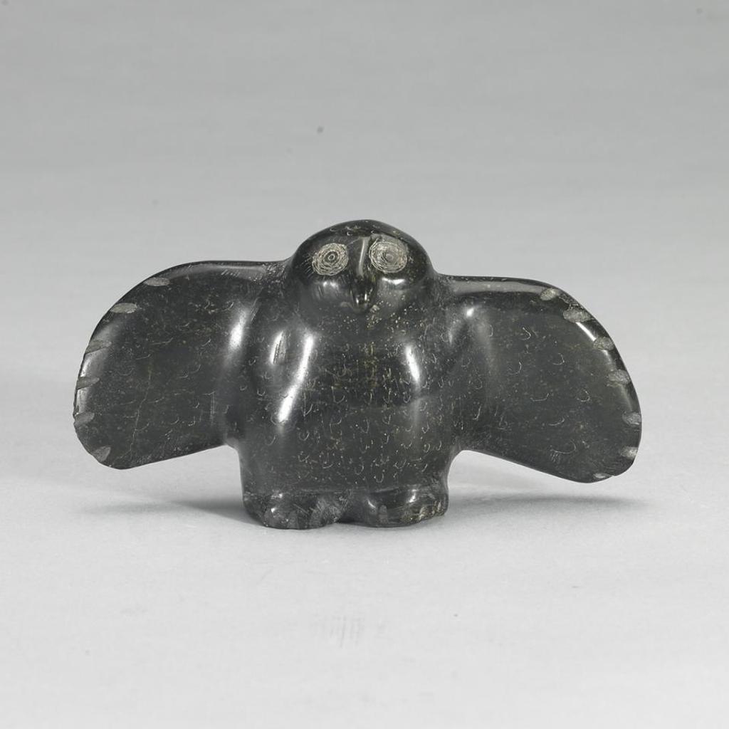 Maniapik - Owl