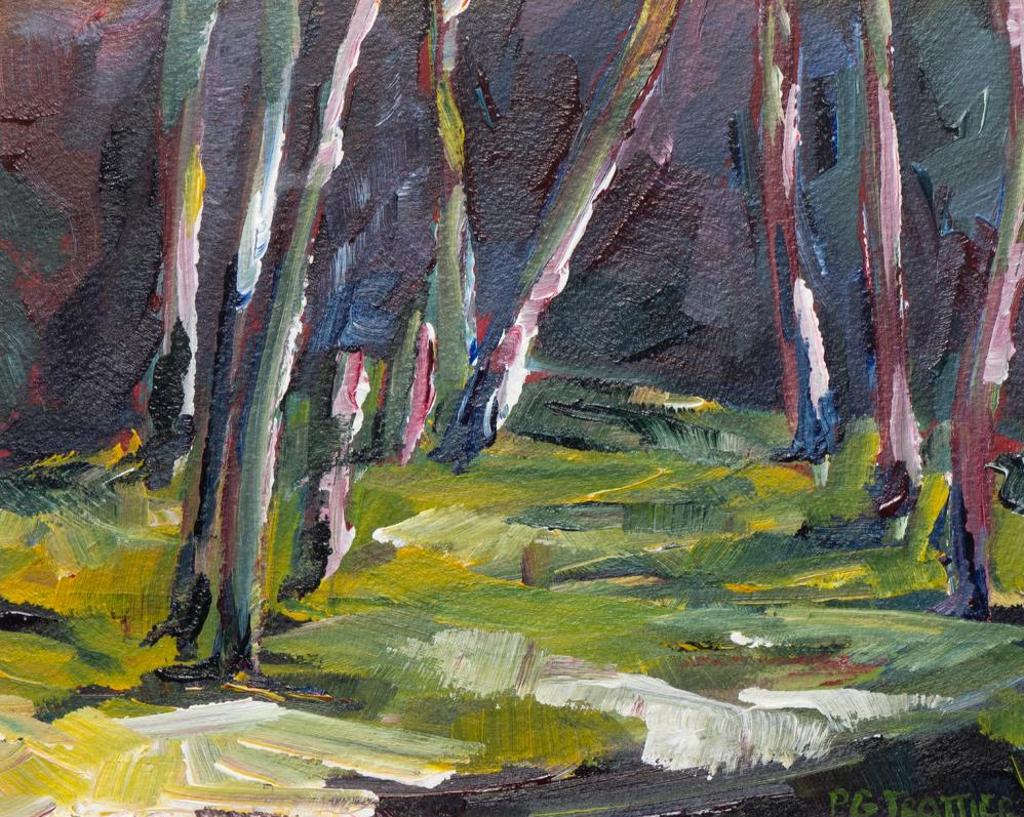 Paul Trottier - Mayview Overflow