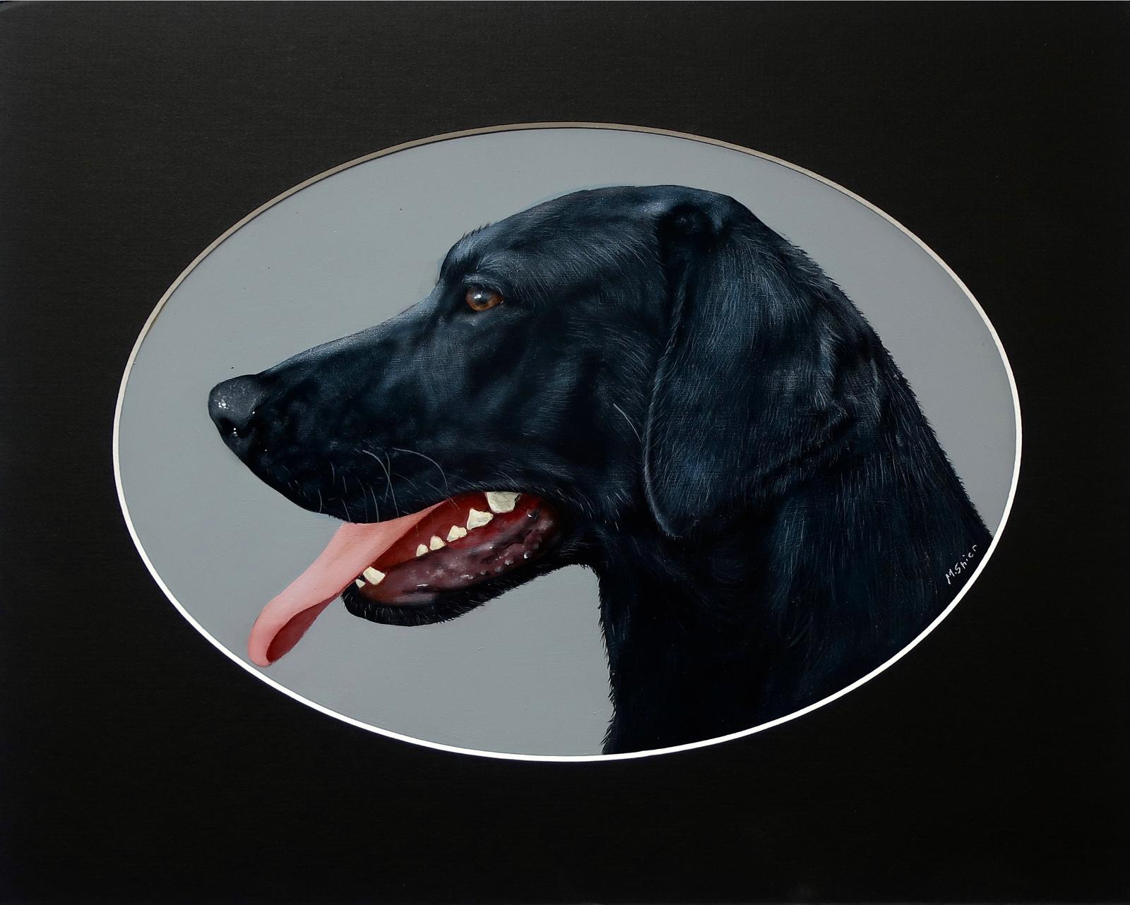 M. Shier - Black Lab