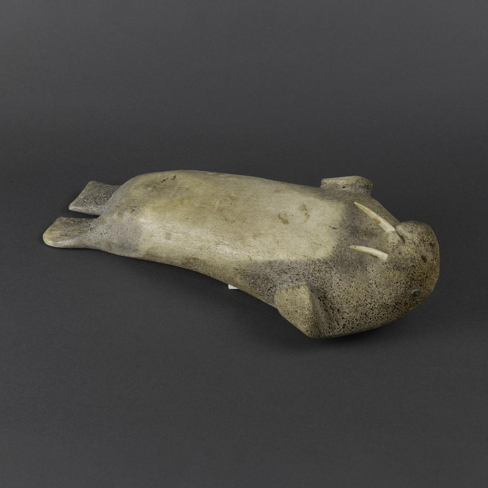 Walter Audla - Sleeping Walrus