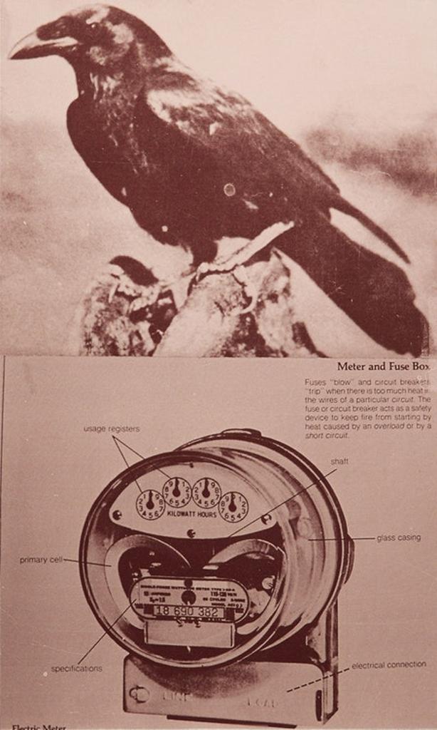 Carl Beam (1943-2005) - Two Kinds of Power