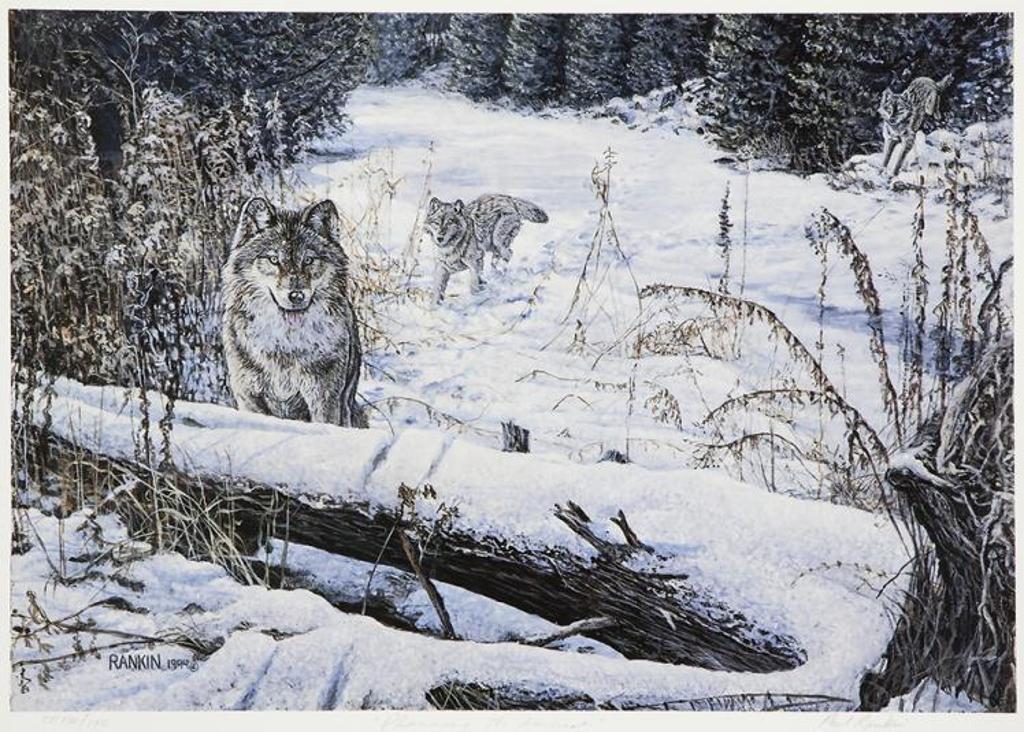 Paul Rankin (1967) - Planning the Ambush
