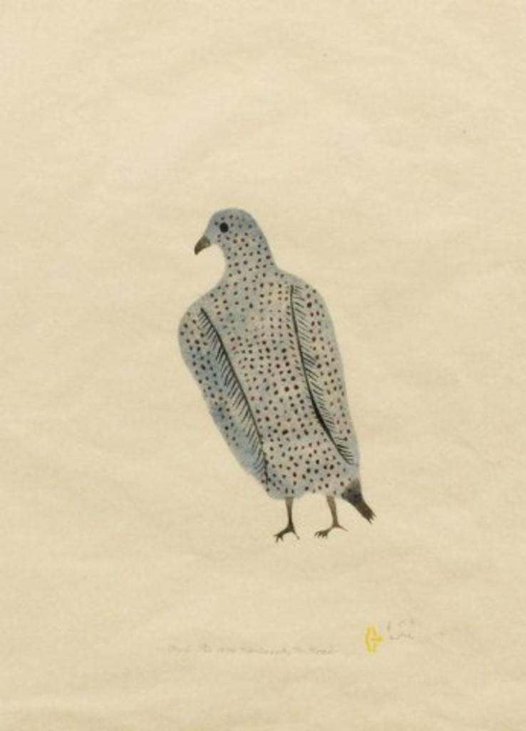Harold Qarliqsaq (1928-1980) - Owl