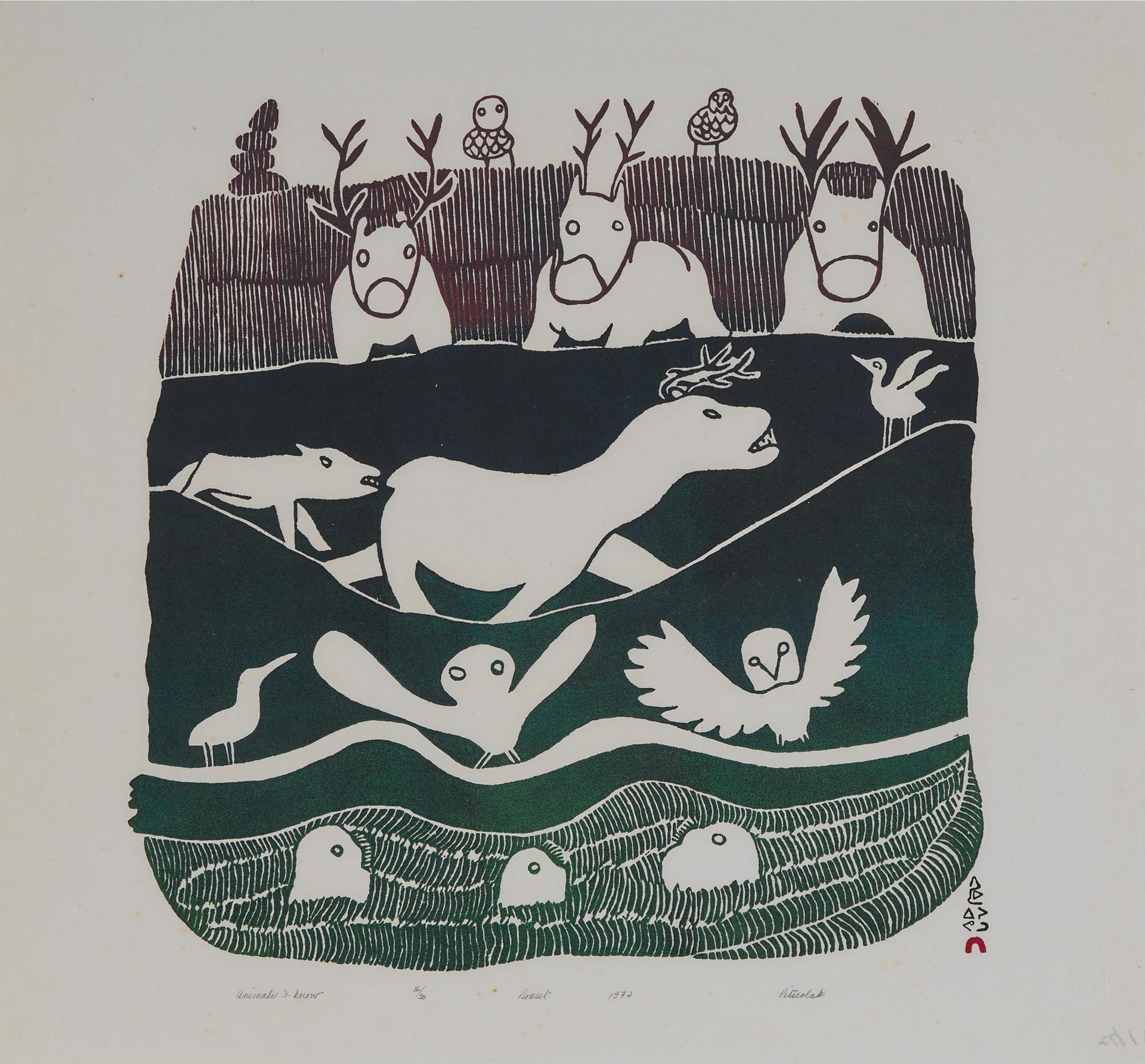Pitseolak Ashoona (1904-1983) - Animals I Know