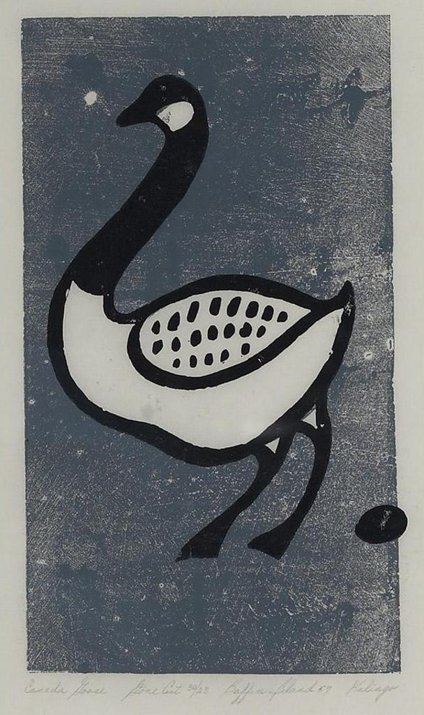 Kalingo (1957) - Canada Goose