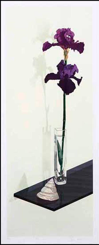 Stephanie Dumanowski - Black Iris (02905/2013-1977)