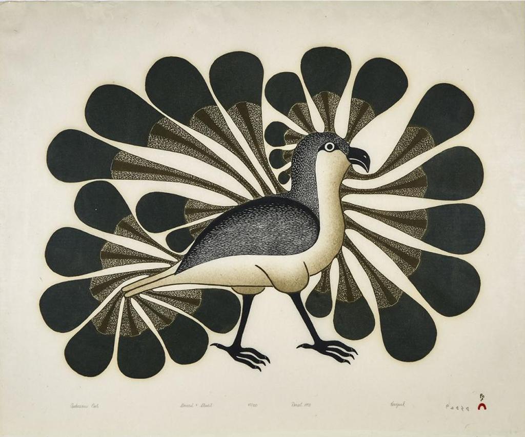 Kenojuak Ashevak (1927-2013) - Audacious Owl