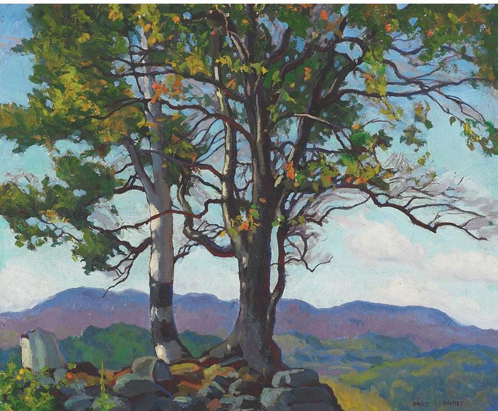 Frederick Stanley Haines (1879-1960) - Black And White Birch, Haliburton