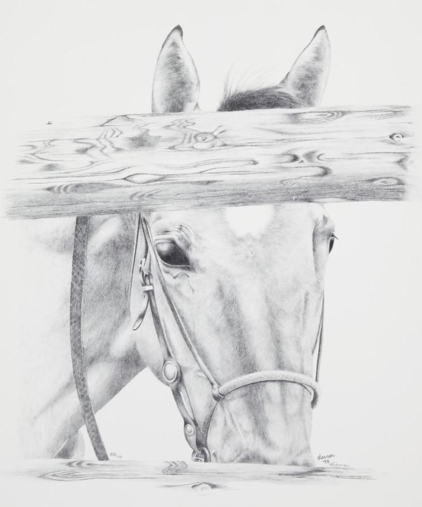 Sharmon Murray Wilson - Untitled - At the Fence
