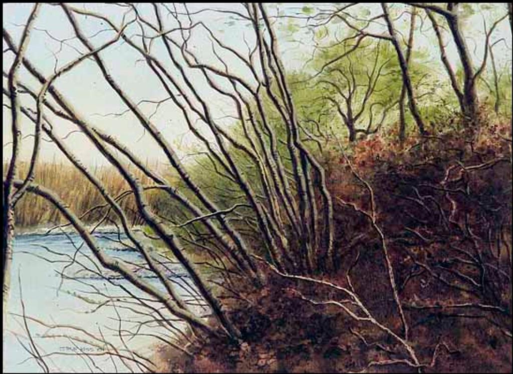 Steven Joseph (Steve) Kiss (1933) - Beginning to Green (01146/2013-2059)
