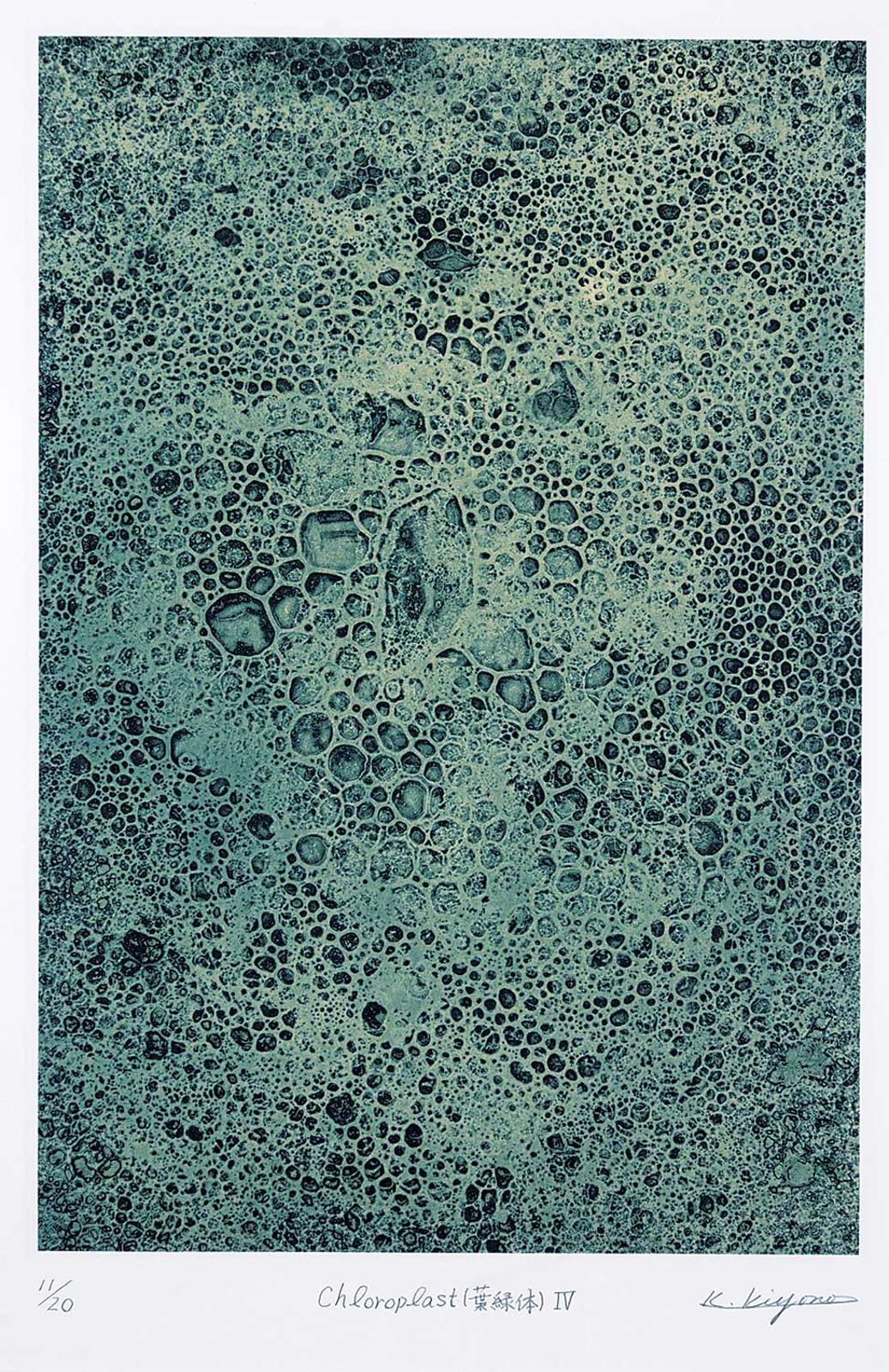 Koichi Kiyono - Chloroplast IV #11/20