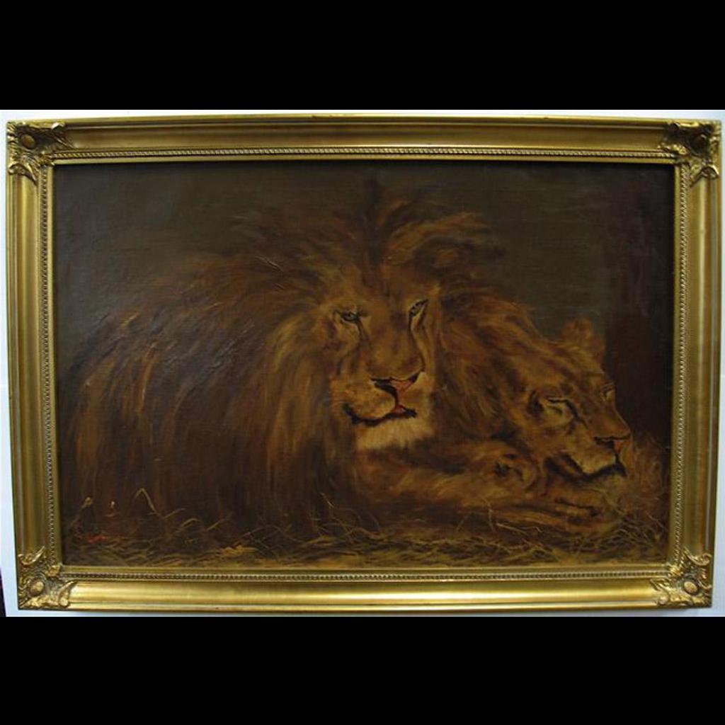 P. Ross - Lions At Rest