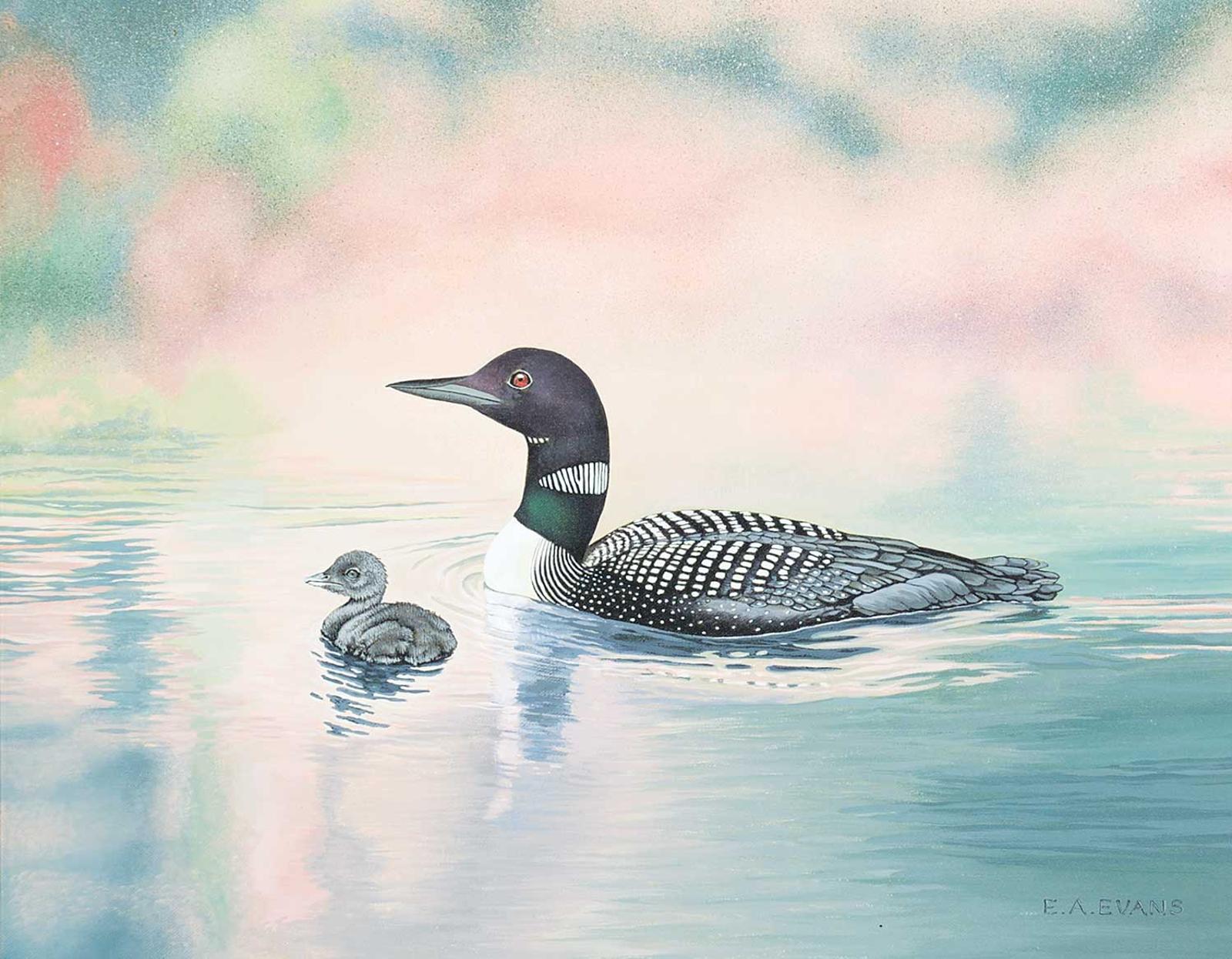 Elizabeth Ann Evans - Loons