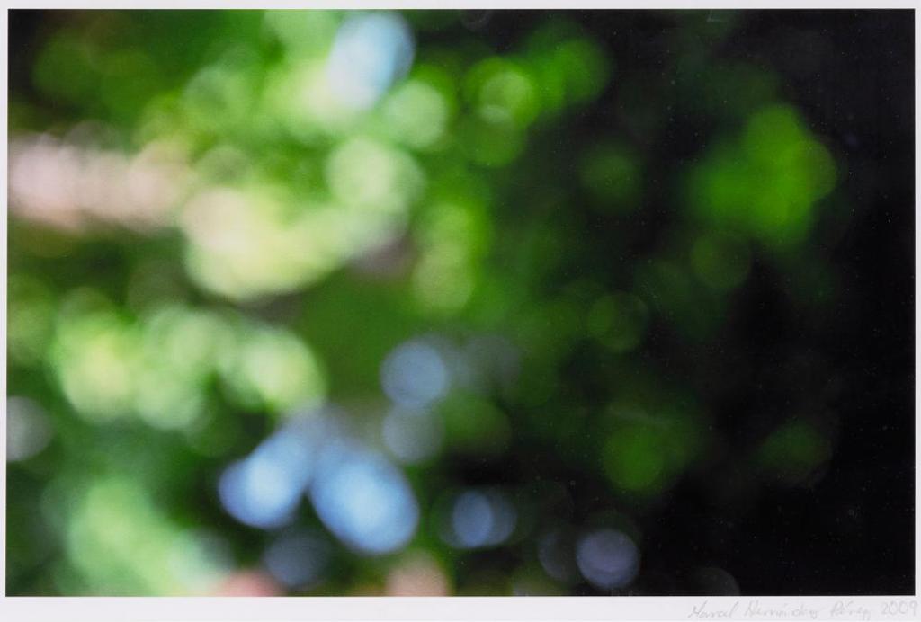 Marcel Hernandez Perez - Untitled, Primavera Series