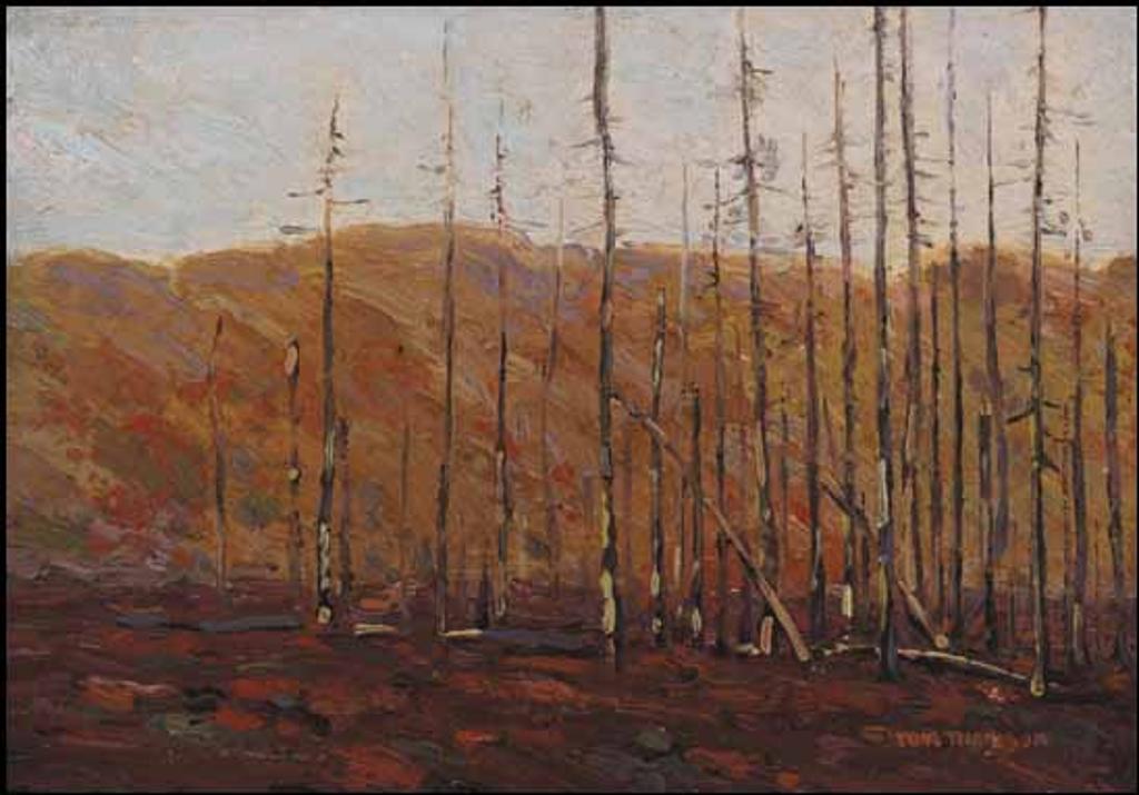 Thomas John (Tom) Thomson (1877-1917) - Autumn, Algonquin Park