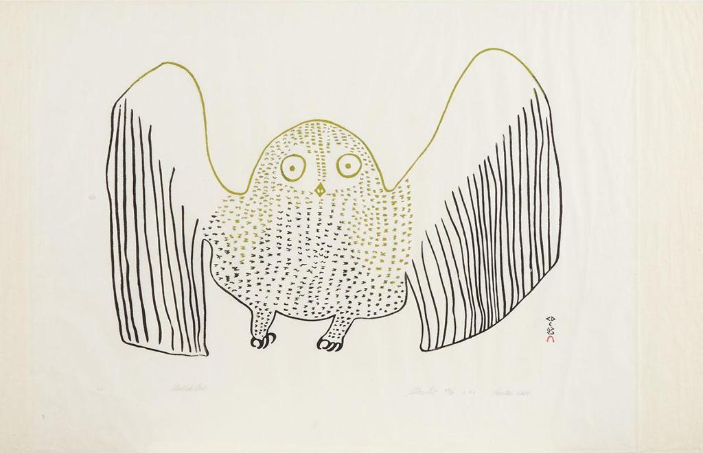 Pauta Saila (1916-2009) - Startled Owl