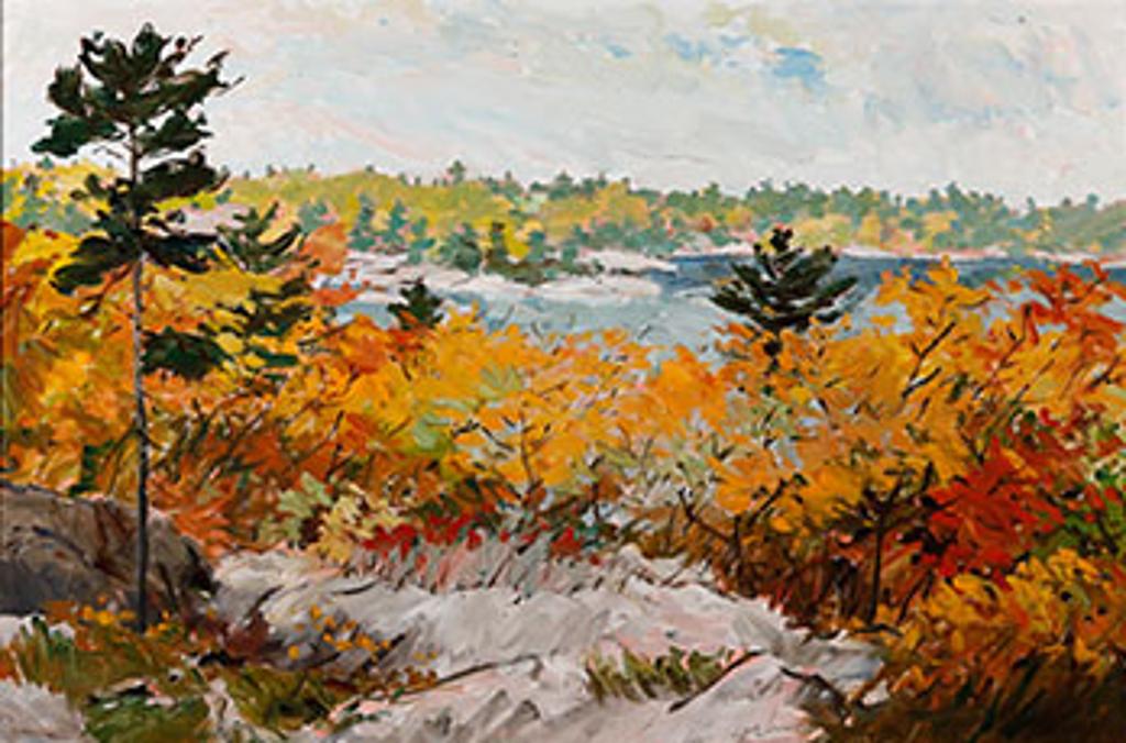 Bruce Steinhoff (1959) - Moon Bay, October, Algonquin Park (03815/A87-148)