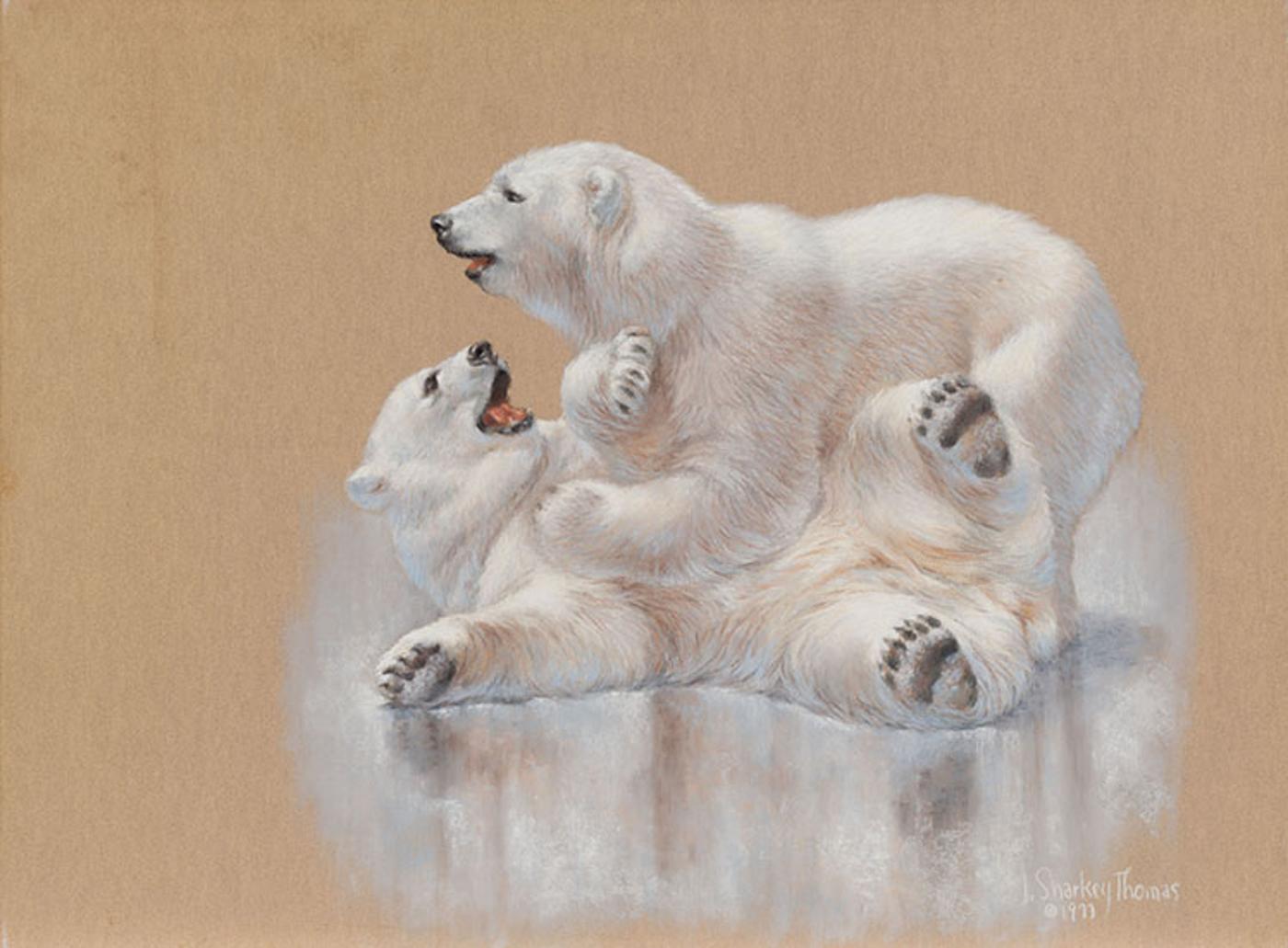 J Thomas Sharkey (1930) - Polar Bears